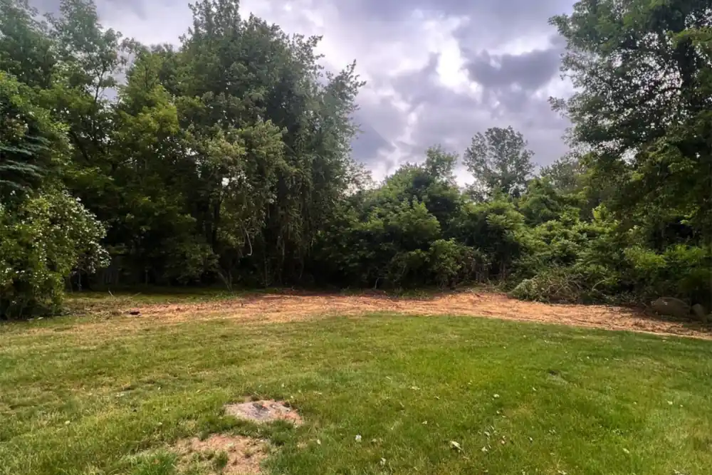 The same yard after clearing: brush removed, treeline cut back and the ground graded clean.