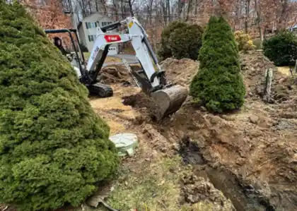 A wider view of the same excavation, the machine working between the plantings.