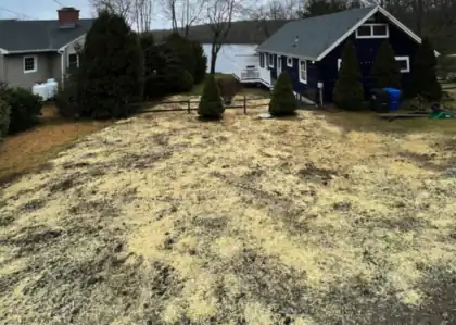 Fresh loam and seed spread across a graded back yard.
