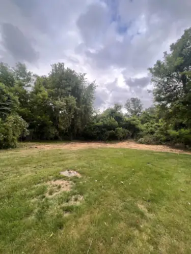 A back lawn graded and seeded, under an overcast sky.