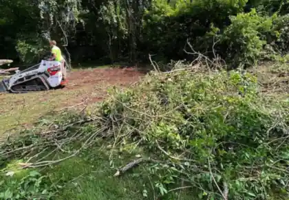 A compact track loader working beside a brush pile at the treeline.